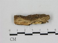 登錄號:F0002092藏品圖，第1張