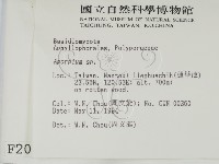 登錄號:F0002096藏品圖，第2張