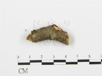 登錄號:F0002097藏品圖，第4張