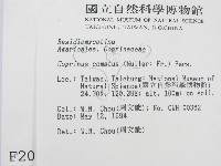 登錄號:F0002098藏品圖，第2張