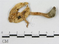 登錄號:F0002098藏品圖，第3張