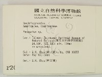 登錄號:F0002099藏品圖，第2張