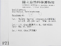 粉褶菌屬藏品圖，第2張