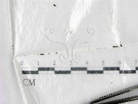 登錄號:F0002102藏品圖，第1張