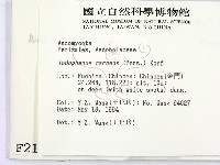 登錄號:F0002104藏品圖，第2張