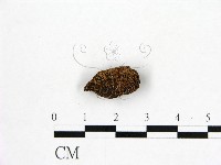 登錄號:F0002104藏品圖，第3張