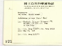 登錄號:F0002105藏品圖，第2張