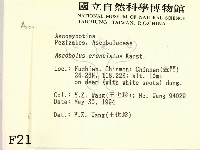 登錄號:F0002106藏品圖，第2張