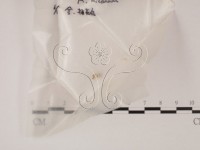 登錄號:F0002107藏品圖，第1張