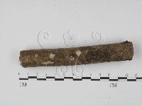 登錄號:F0002108藏品圖，第3張