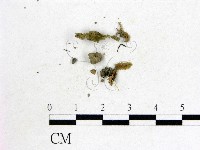 登錄號:F0002110藏品圖，第1張
