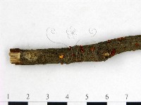 登錄號:F0002112藏品圖，第3張