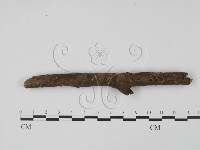 登錄號:F0002113藏品圖，第3張