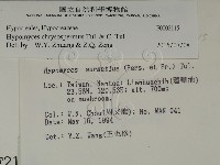 登錄號:F0002115藏品圖，第2張