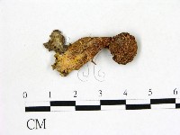 登錄號:F0002115藏品圖，第1張