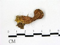 登錄號:F0002115藏品圖，第3張