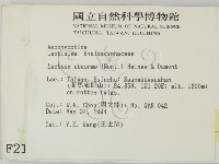 登錄號:F0002116藏品圖，第2張