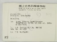 炭角菌屬藏品圖，第2張