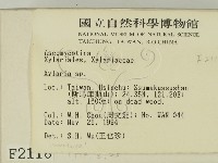 炭角菌屬藏品圖，第2張