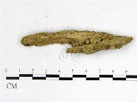 登錄號:F0002119藏品圖，第1張