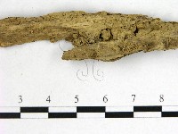 登錄號:F0002119藏品圖，第3張