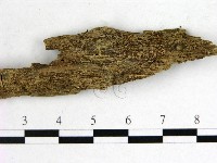 登錄號:F0002119藏品圖，第4張