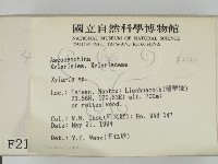 炭角菌屬藏品圖，第2張