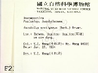 登錄號:F0002121藏品圖，第2張