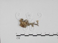 登錄號:F0002126藏品圖，第3張