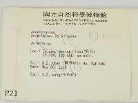 炭角菌屬藏品圖，第2張