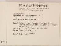 登錄號:F0002129藏品圖，第2張