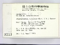 登錄號:F0002130藏品圖，第2張