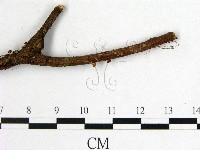 登錄號:F0002130藏品圖，第3張