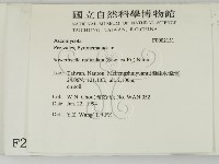 登錄號:F0002131藏品圖，第2張