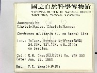 登錄號:F0002132藏品圖，第2張