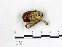 登錄號:F0002132藏品圖，第3張