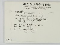 登錄號:F0002133藏品圖，第2張