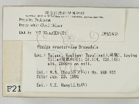 登錄號:F0002134藏品圖，第2張