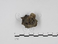 登錄號:F0002134藏品圖，第1張