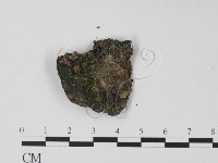 登錄號:F0002135藏品圖，第1張