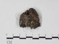 登錄號:F0002135藏品圖，第3張