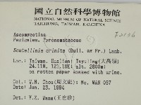 登錄號:F0002136藏品圖，第2張