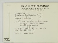 登錄號:F0002137藏品圖，第2張