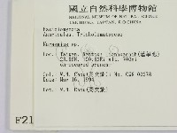 小皮傘屬藏品圖，第2張