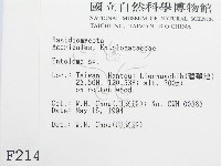 粉褶菌屬藏品圖，第2張