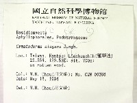 優雅波邊革菌藏品圖，第2張
