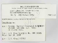 登錄號:F0002145藏品圖，第2張