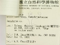 登錄號:F0002145藏品圖，第3張