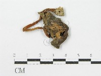 登錄號:F0002146藏品圖，第3張