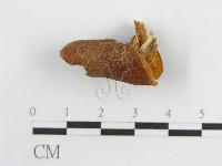 登錄號:F0002148藏品圖，第4張